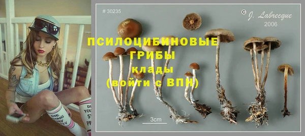 прущие крисы Алексеевка