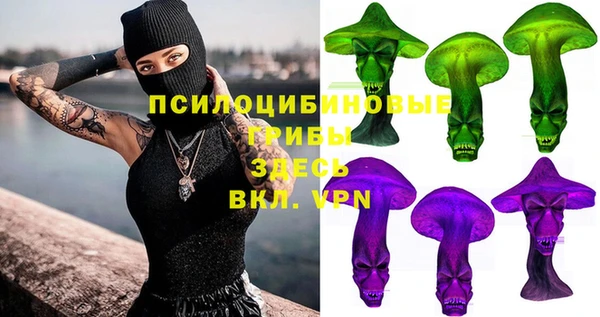 тгк Алексин