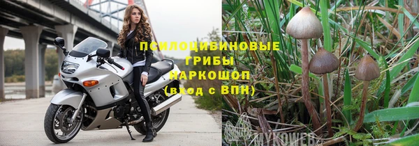 ПСИЛОЦИБИНОВЫЕ ГРИБЫ Сосновка