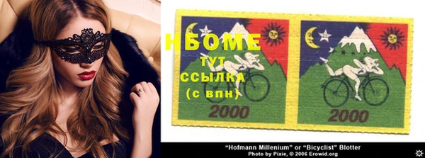 хмурый Алзамай