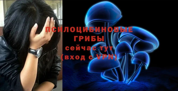 тгк Алексин
