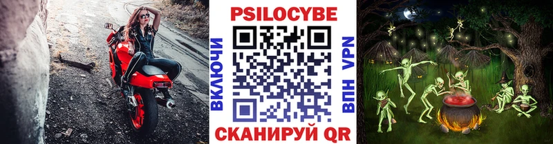 Псилоцибиновые грибы Cubensis  blacksprut как зайти  Елабуга 