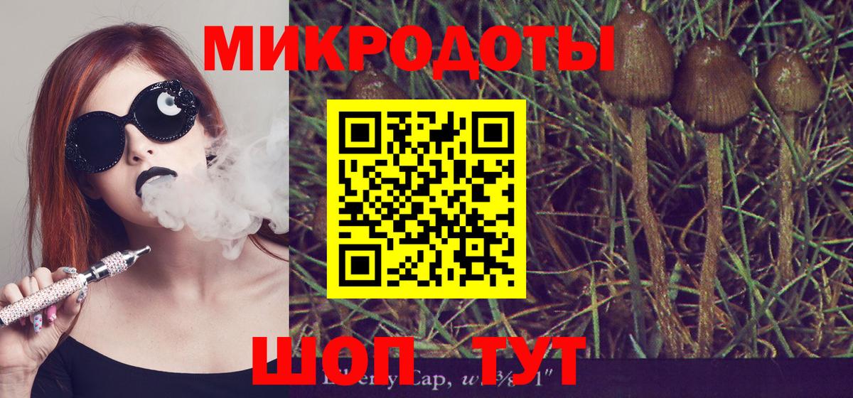 Псилоцибиновые грибы ЛСД  Галлюциногенные грибы Psilocybine cubensis  что такое наркотик  Елабуга  Вход с VPN 